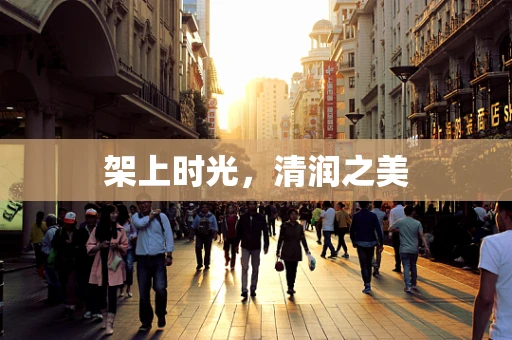 架上时光，清润之美