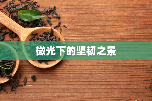 微光下的坚韧之景