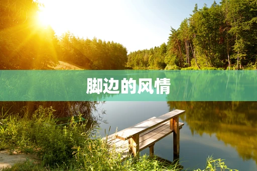 脚边的风情