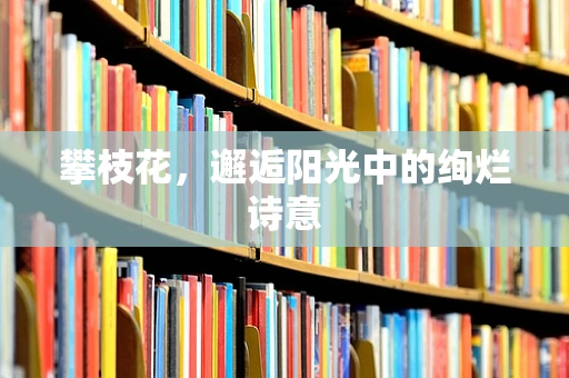 攀枝花，邂逅阳光中的绚烂诗意