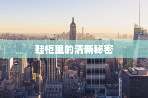 鞋柜里的清新秘密