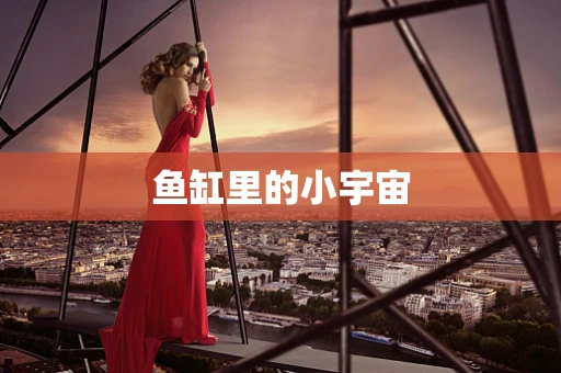 鱼缸里的小宇宙