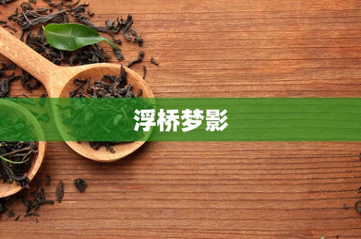 浮桥梦影
