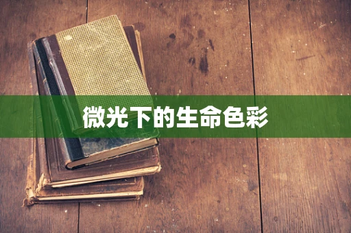 微光下的生命色彩