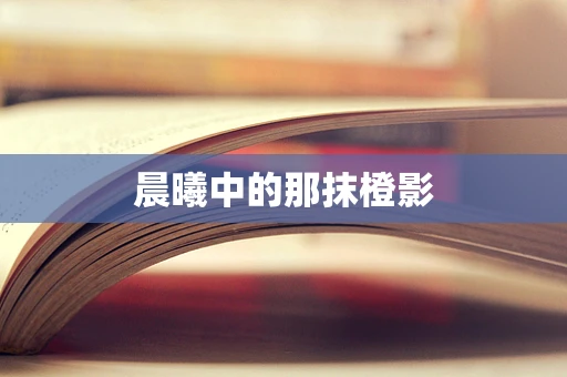 晨曦中的那抹橙影