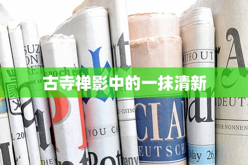 古寺禅影中的一抹清新