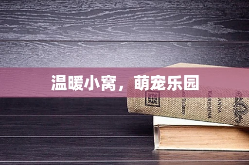 温暖小窝，萌宠乐园