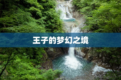 王子的梦幻之境