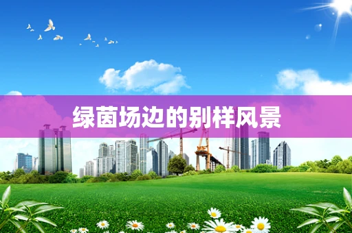绿茵场边的别样风景