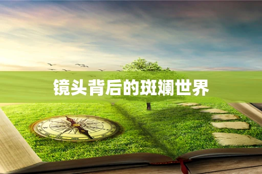 镜头背后的斑斓世界