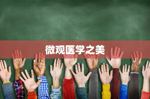 微观医学之美