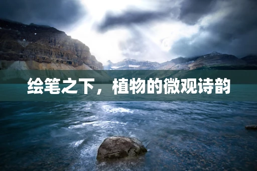 绘笔之下，植物的微观诗韵