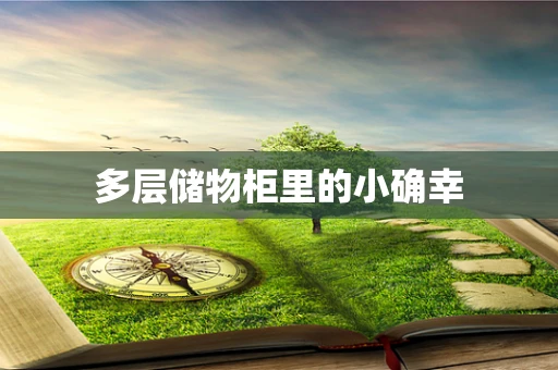多层储物柜里的小确幸