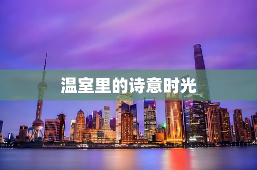 温室里的诗意时光