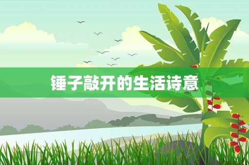 锤子敲开的生活诗意