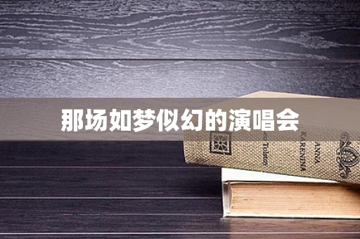 那场如梦似幻的演唱会