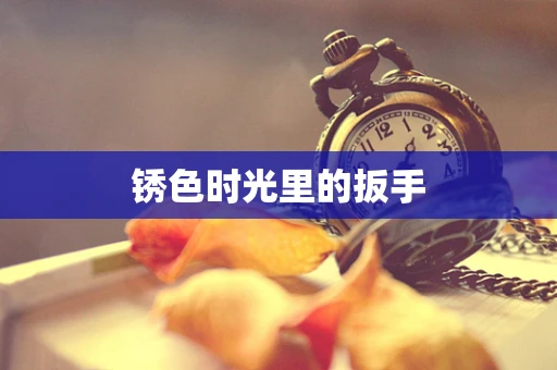锈色时光里的扳手
