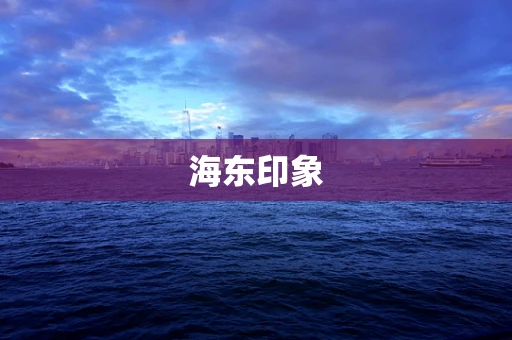 海东印象