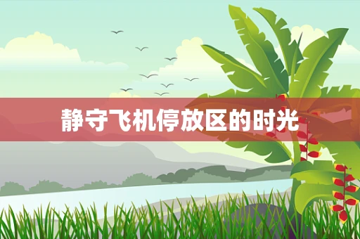 静守飞机停放区的时光