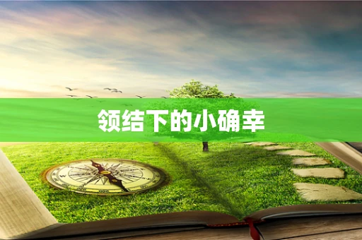 领结下的小确幸