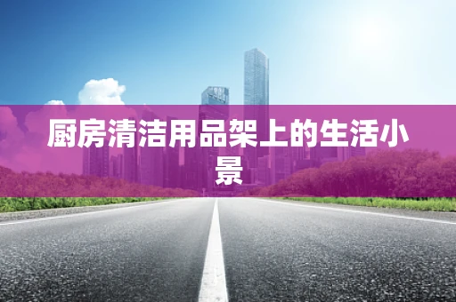 厨房清洁用品架上的生活小景