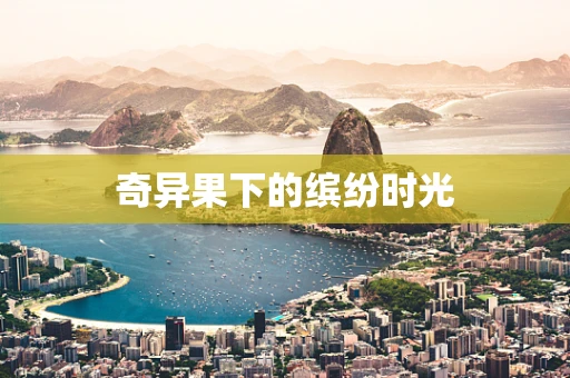 奇异果下的缤纷时光