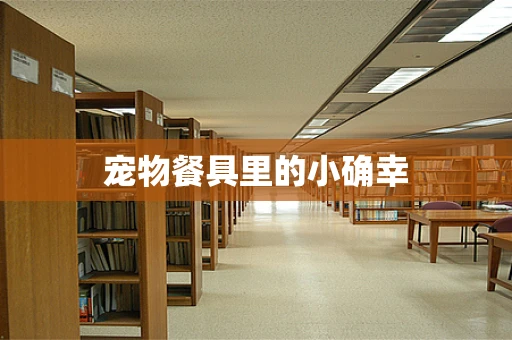 宠物餐具里的小确幸