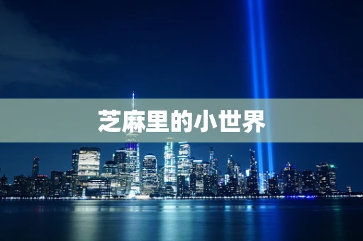 芝麻里的小世界