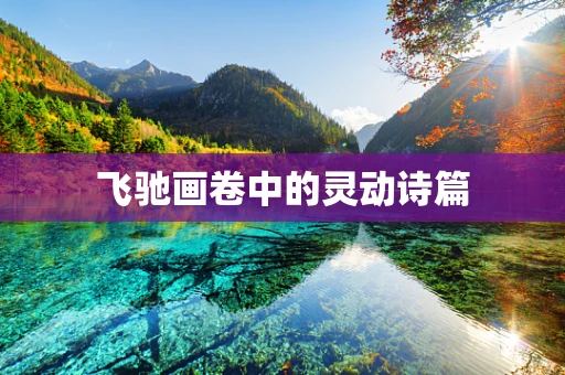 飞驰画卷中的灵动诗篇