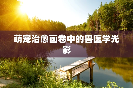 萌宠治愈画卷中的兽医学光影