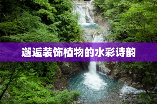 邂逅装饰植物的水彩诗韵