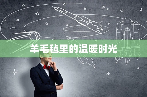 羊毛毡里的温暖时光