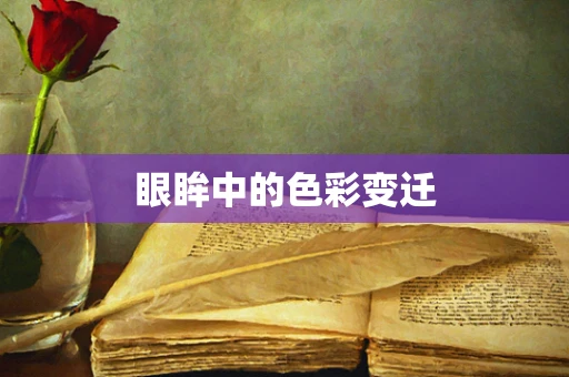 眼眸中的色彩变迁