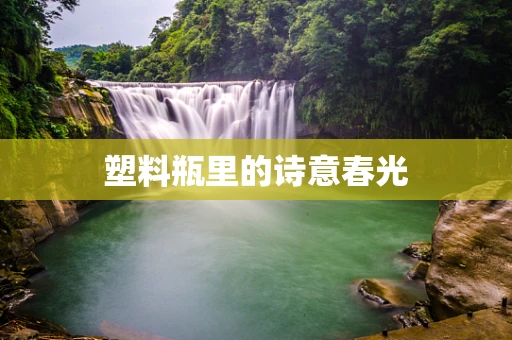 塑料瓶里的诗意春光