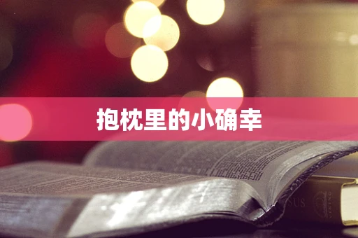 抱枕里的小确幸