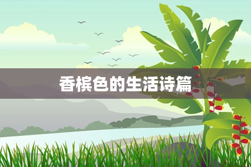 香槟色的生活诗篇