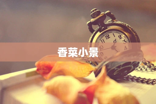 香菜小景