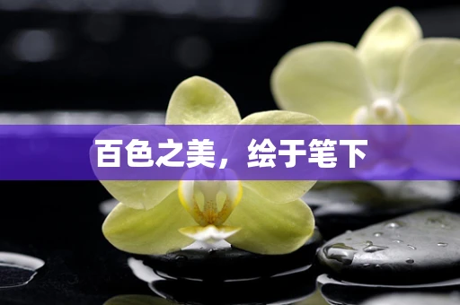 百色之美，绘于笔下