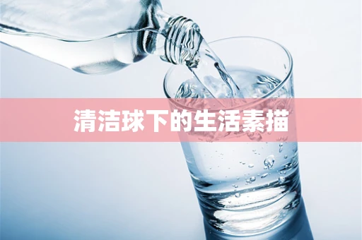 清洁球下的生活素描