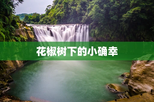 花椒树下的小确幸