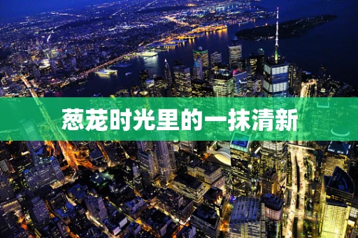 葱茏时光里的一抹清新