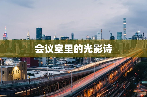 会议室里的光影诗