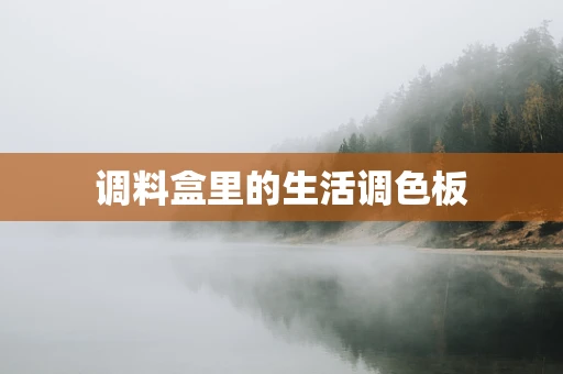 调料盒里的生活调色板