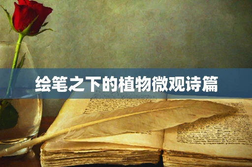 绘笔之下的植物微观诗篇