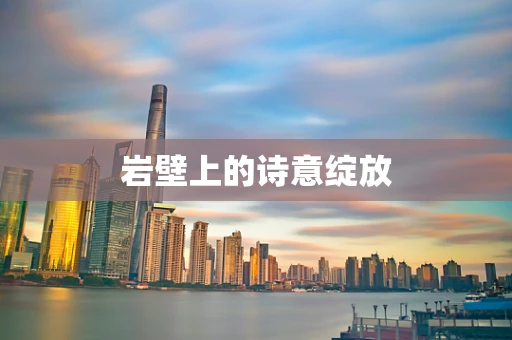 岩壁上的诗意绽放