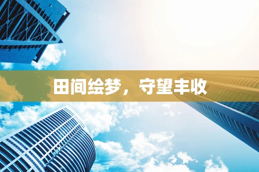 田间绘梦，守望丰收