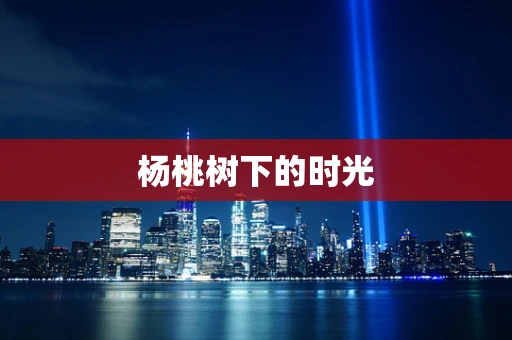 杨桃树下的时光
