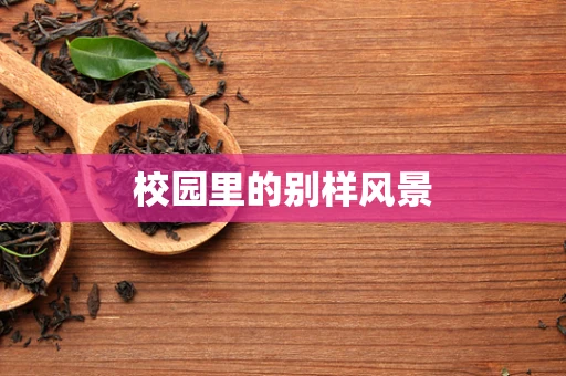 校园里的别样风景