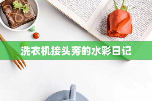 洗衣机接头旁的水彩日记