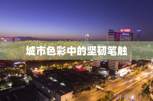 城市色彩中的坚韧笔触